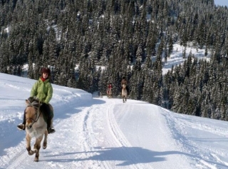  paseos a caballo en invierno en Aravis 